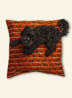 Best Dog Bed - Rust Sausage Dog Tea Towels | Dog Beds