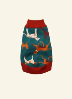 Cheap Rodney Dog Jumper - Teal Woof Women Knitted Accessories | Dog Jumpers