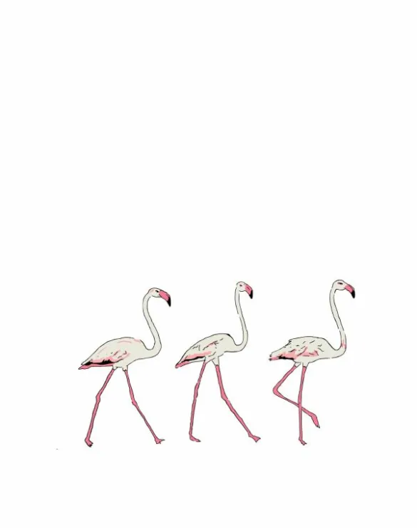 Online Three Flamingos Wall Sticker Kids Children's Homeware