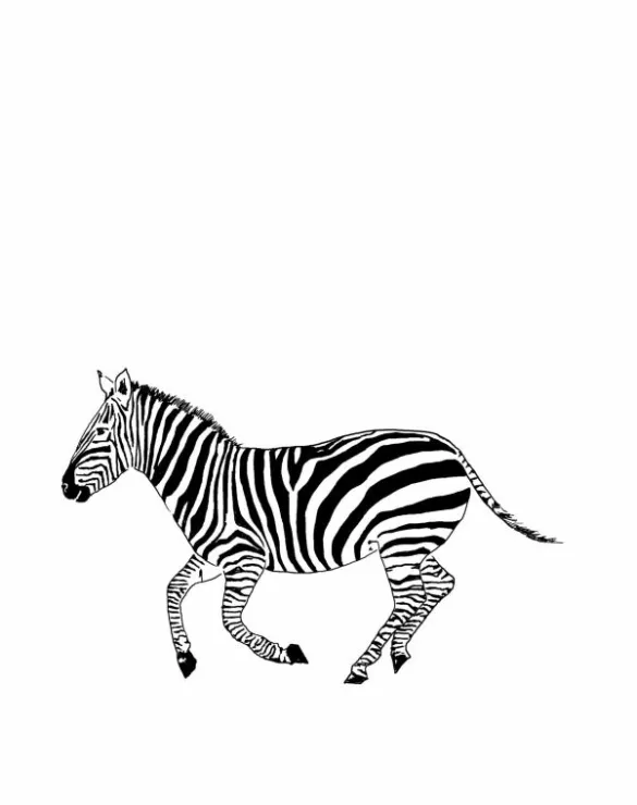 Clearance Zebra Wall Sticker Kids Children's Homeware